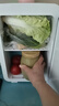 先科车载迷你小冰箱家用出租房宿舍母乳办公室小型冷冻冷藏冰柜冷暖箱 【超高性价比】车家两用- 16L 双核可制冷制热丨户外出行磁吸门 实拍图