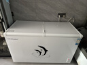 荣事达（Royalstar）冰柜商用大容量全冷冻卧式冰柜家用冷藏冷冻两用冷柜双温商用大冰柜冷冻柜展示柜 【热销 | 366双温蝴蝶门】长1.27米 | 双温双箱 实拍图