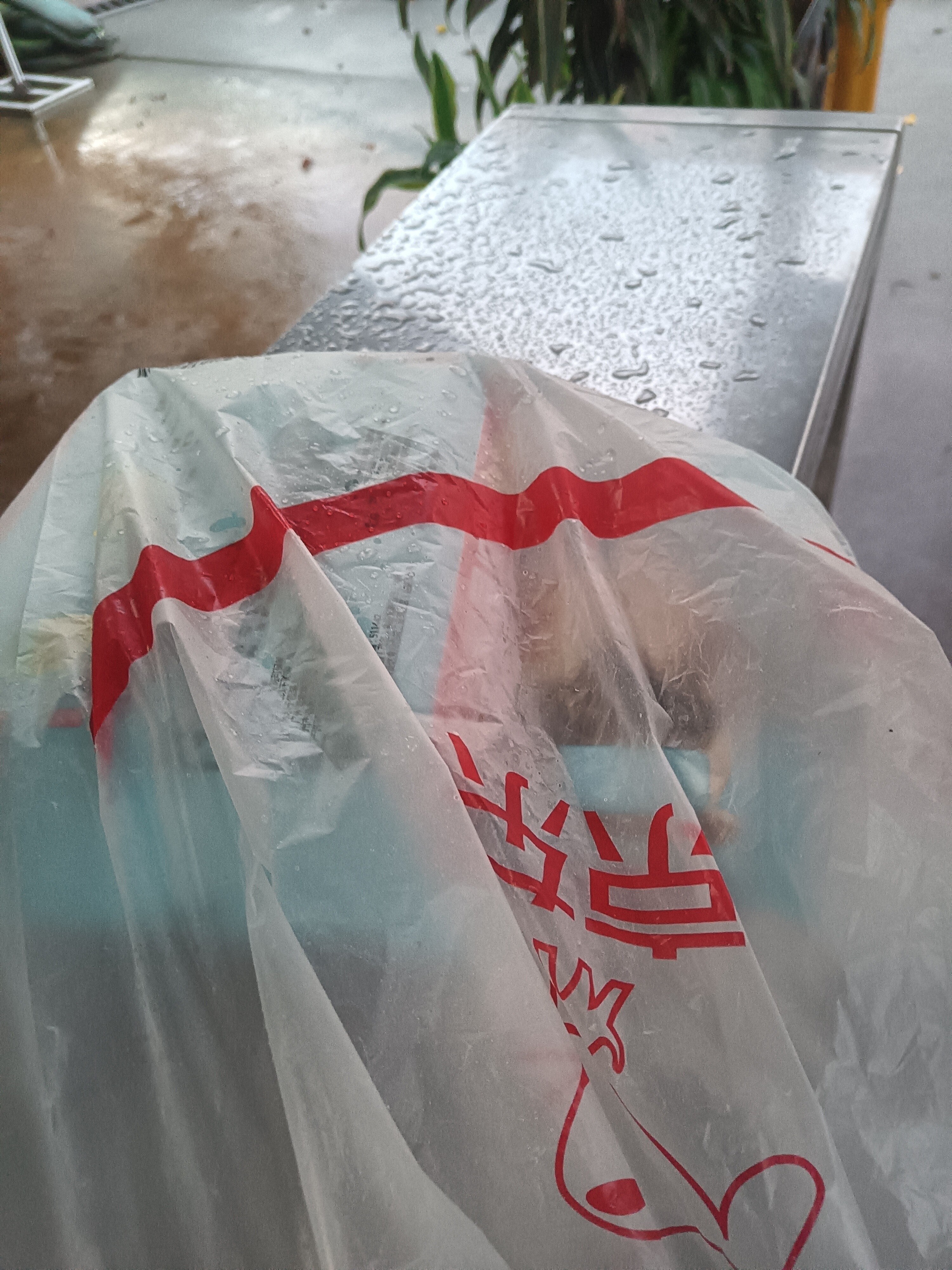 广州酒家荷香糯米鸡540g 6个 早餐半成品广式早茶食品速食面点生鲜速冻 实拍图
