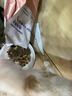 LEGENDSANDY蓝氏幼年期全价猫粮试用 试吃 猎鸟乳鸽多重倍护50g 赠品勿购 实拍图
