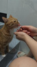 弗列加特96%高肉含量主食猫条 成猫湿粮 美毛猫粮 混合装150g*3桶 实拍图