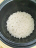 半球(peskoe)陶瓷釉电饭煲家用迷你1.6L多功能蒸煮学生宿舍小型1-4-8人电饭锅不夹生耐磨易清洗不粘锅 米黄灰 1.6L 【推荐1-2人 快煮饭】 2代-球型胆【不粘率90％】 实拍图