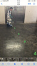 特步轮滑鞋儿童溜冰鞋女童初学套装男女生中小学滑冰鞋滑轮鞋体育课程 天蓝色升级双芭扣闪轮-全套装 M （适合6-12岁）平时鞋码30-35 实拍图
