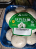 【烧烤季】白蘑菇(口蘑) 230g 实拍图