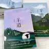 自营包邮 羊道·深山夏牧场 李娟作品 另著我的阿勒泰羊道三部曲遥远的向日葵地等 实拍图