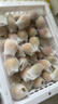 京鲜生 新疆吊干杏 净重3斤 单果12g+ 新鲜应季水果 8分甜2分酸 实拍图