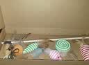 萌嘟星宠逗猫棒套装猫咪玩具球羽毛仿真老鼠可替换头一周7天 7件套 实拍图