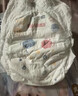 好奇（Huggies）金装小黑洞拉拉裤XXXXL52(19kg以上)尿不湿【速干不易红】 实拍图