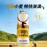 斯坦根（stangen）原浆德式小麦白啤酒 12度 980mL 单罐装大瓶装家庭聚会夏日 实拍图