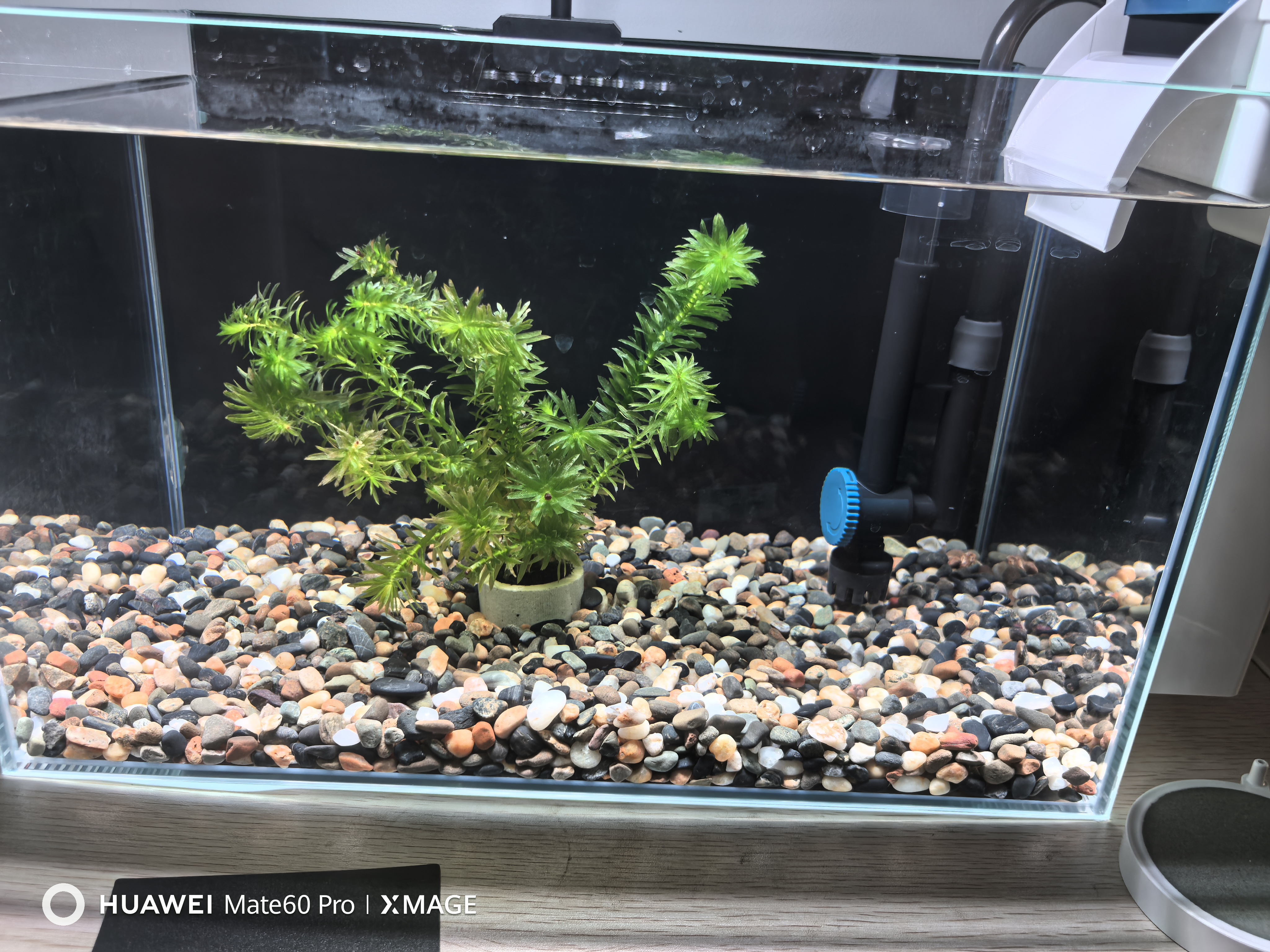 森森（SUNSUN）壁挂瀑布式鱼缸过滤器鱼马桶净水循环过滤一体机YBK-500+滤材 实拍图