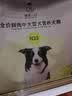 诚实一口N01牧野成犬中大型犬幼犬冻干双拼肉松鸭肉梨营养美毛狗粮9kg 实拍图