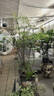 品胜LP-E6佳能相机电池充电器套装 适用EOS 60D 70D 80D 90D 6D2 5D4 5D3 5D2 R62 R5 7D2 7D 5DSR 5D 实拍图