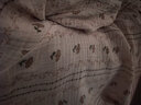 婧麒（JOYNCLEON）月子服纯棉春夏款纱布产后哺乳孕妇睡衣产妇家居服 粉M jyz181399 实拍图