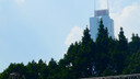 松下（Panasonic）ZS99 长焦便携数码相机/卡片机 30倍光学变焦 小巧便携 Type-C接口 黑色 实拍图