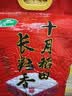 十月稻田 长粒香大米 20斤（东北大米 香米 10kg/公斤） 实拍图