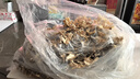 华圣中国象棋实木50号黑檀木送岳父大号折叠便携棋盘套装礼物送长辈 实拍图