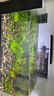 沃韦朗（VOONLINE）鱼缸灯水草灯LED全光谱草缸水族夹灯 【水草版】沃韦朗夹灯16W 实拍图