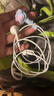 Apple/苹果 EarPods 闪电/Lightning有线耳机 iPhone耳机原装耳机适用闪电接口的手机平板 实拍图