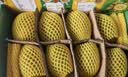 佳沛（zespri）新西兰阳光金奇异果10粒巨大果单果146-175g 猕猴桃水果礼盒 实拍图