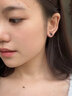 BJYL莫比乌斯耳钉男士2026新款磁吸无耳洞耳夹耳环痞帅潮流学生耳饰品 耳钉款单只(有耳洞拍） 实拍图