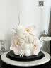 金豆芽金银花柚子汁儿童饮品无添加大瓶饮料火锅聚餐分享装1L*6瓶 实拍图