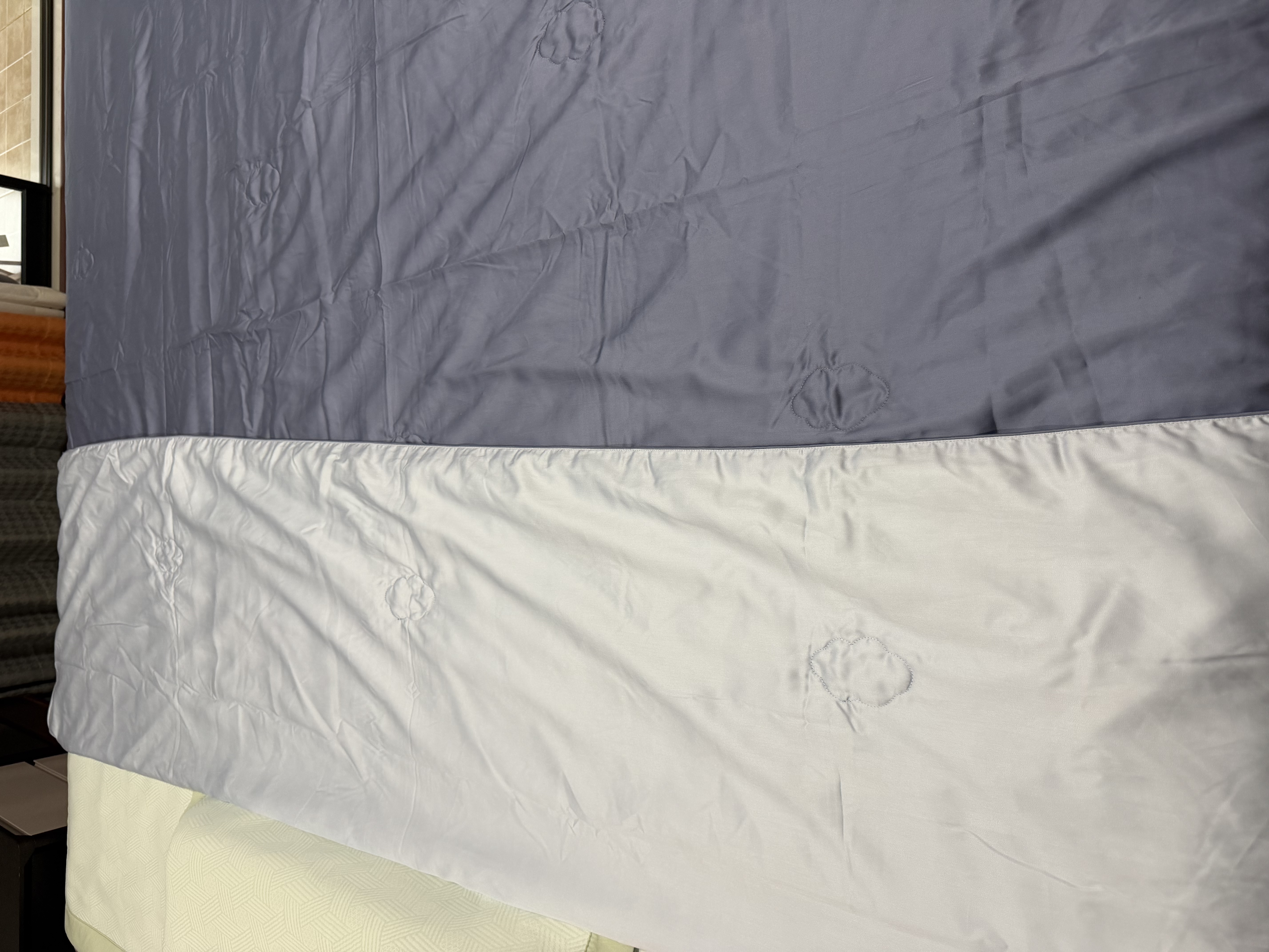 京东京造100%蚕丝夏凉被 进口天丝™可水洗春秋四季通用自营200x230cm 实拍图