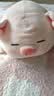 名创优品（MINISO）墩墩鸡dundun可爱毛绒玩偶大号公仔陪伴睡觉搞怪抱枕恶搞生日礼物 小猪B-BO（37*23cm) 见详情 实拍图