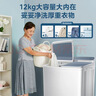 美的（Midea）双桶洗衣机半自动双缸分区洗 12kg大容量家用品质双电机同洗同脱双筒 一级能效换新补贴 MP12S166 双缸 实拍图