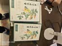 同仁堂北京同仁堂艾草膝盖贴 养生艾灸贴膝盖关节 艾草贴 12贴/盒 实拍图