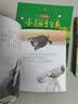 葫芦兄弟（套装13册）中国经典动画片大全集 上海美影授权 葫芦娃故事全集小学生连环画漫画绘本 实拍图