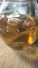 八百秀才英红九号英德红茶2025年新茶浓香型功夫茶叶品鉴茶试喝茶2泡10g 实拍图
