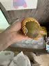 佳沛（zespri）新西兰阳光金奇异果 8个装 特大果单果重约124-146g 水果猕猴桃 实拍图