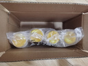 绿伞多效五洁粉 全屋清洁多用途除油污除垢除锈清洁剂 500g*4瓶 实拍图