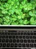 苹果（Apple） MacBook Pro/Air 二手苹果笔记本电脑 商务 办公 游戏 设计 剪辑 99新20款D92灰DC2银【M1芯片】8+512 实拍图