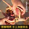 橙小萌 5年散养老鸽子 净重 450g*2只 新鲜现杀鸽子生鲜源头直发 实拍图