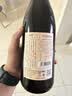 通化山葡萄气泡酒加量版720ml 葡萄汁红酒7%vol 单瓶果酒微醺果汁 实拍图