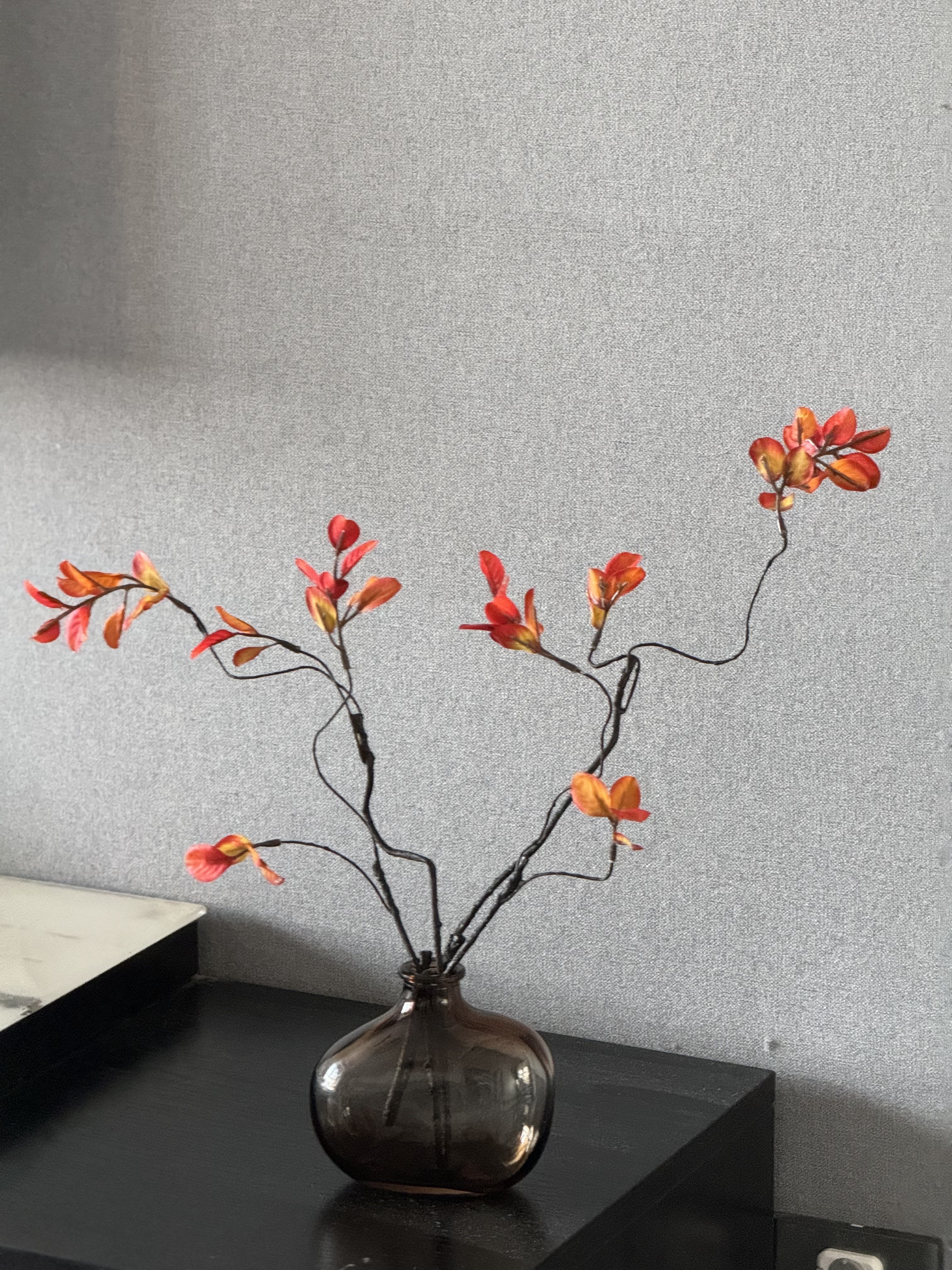 范爷家仿真花红枫叶花瓶套装树叶子发财叶室内摆件客厅装饰假花北欧摆设 实拍图