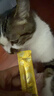 珍致猫咪零食进口成幼猫猫湿粮肉泥猫条12包48支喵酱之吻系列 喵酱吞拿鱼鸡肉10g*48支 实拍图