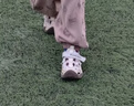 莫尔兔 儿童鞋包头溯溪凉鞋春夏季新款男女童运动户外涉水鞋男宝宝踩水 实拍图