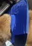 宜品达狗狗伊丽莎白圈加深大型犬狗狗防舔防咬项圈大号软圈柔软夏季脖套 （蓝色） L-内圈可调节23-46cm 实拍图