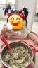 XUM肯德基婴儿餐椅同款宝宝多功能座椅儿童高度可调成长吃饭餐桌椅 粉色+双餐盘+刹车轮+坐垫+置物兜 实拍图