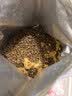 麦富迪营养森林狗粮 肉松双拼犬粮 成犬幼犬通用泰迪金毛鲜鸡肉肉松粮 【升级】通用型肉松狗粮2kg 实拍图