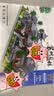 冠巢苏州园林积木拼装益智玩具男孩6-12岁儿童玩具女孩生日礼物模型 实拍图