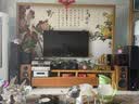 天逸（Winner）AD-86D合并式HIFI解码功放机发烧级立体声高保真HIFI组合蓝牙功放机 AD-86D（JD物流直达） 实拍图