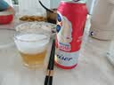 百威【哈兰德同款】世界杯珍藏版啤酒【40周年限定】500ML*12听礼盒装 实拍图
