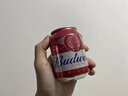 百威啤酒mini红罐淡色拉格255ml*24小罐整箱装京东自营喜酒 实拍图