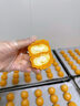港荣蒸蛋糕奶香900g面包零食饼干西式糕点甜品零食下午茶独立小包装 实拍图