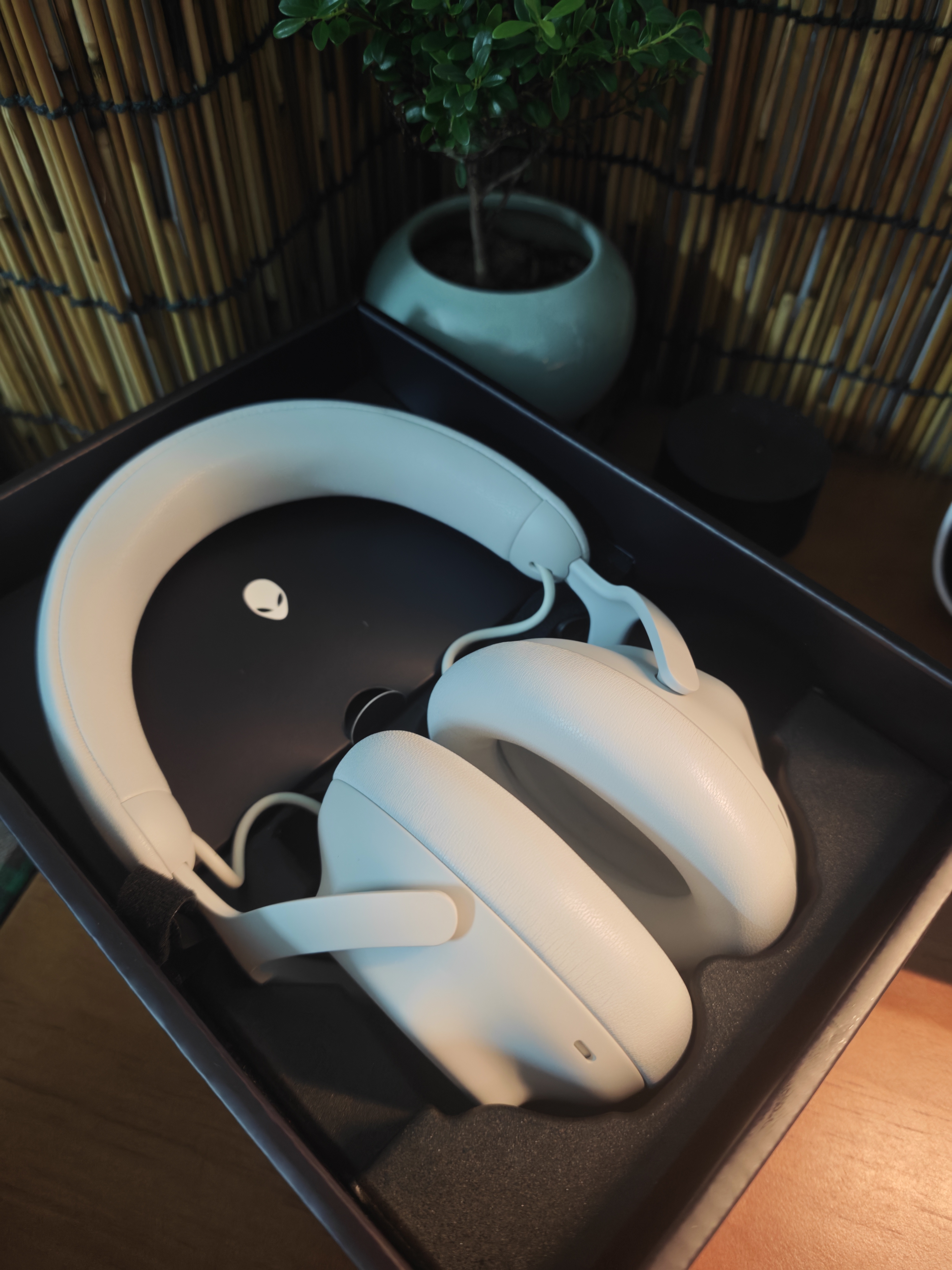 外星人（Alienware）PRO游戏电竞耳机适配三角洲行动石墨烯驱动三模连接头戴式电竞耳麦有线无线蓝牙节日礼物 白色 实拍图