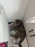 维克（Virbac）益口清洁牙水猫咪饮水洁牙液宠物清新口气齿防口腔异味狗狗漱口水 250ml 实拍图