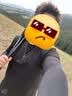 神火（SupFire）户外防身登山杖铝合金型老人超轻便防滑拐棍徒步健走爬山装备手杖 实拍图